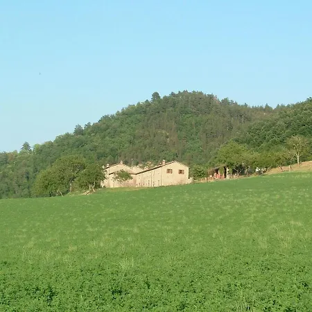 Marradi